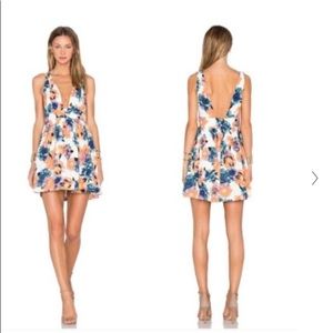 NBD floral skater plunge mini dress